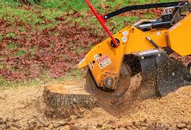 How Our Tree Care Process Works  in  West Elmira, NY